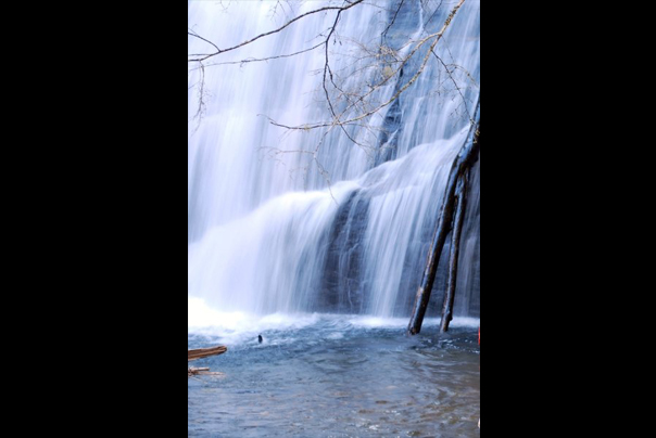Slideshow Image 5